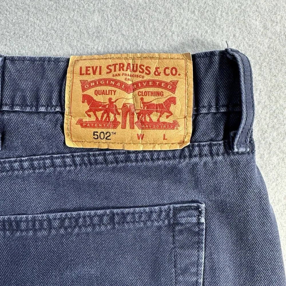 Levis levis 502